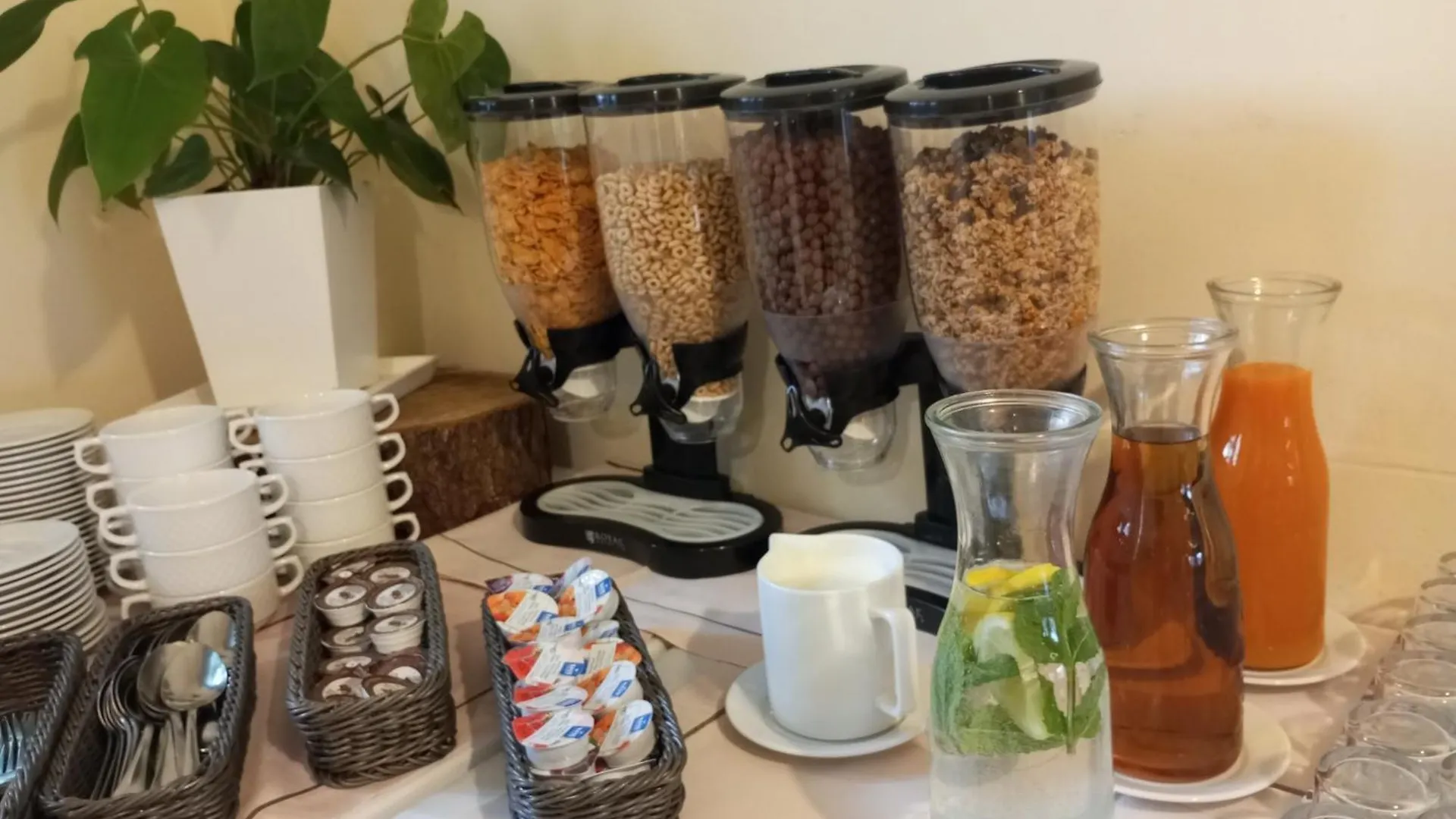 Hotel Hanseatic - Adults Only contacts
